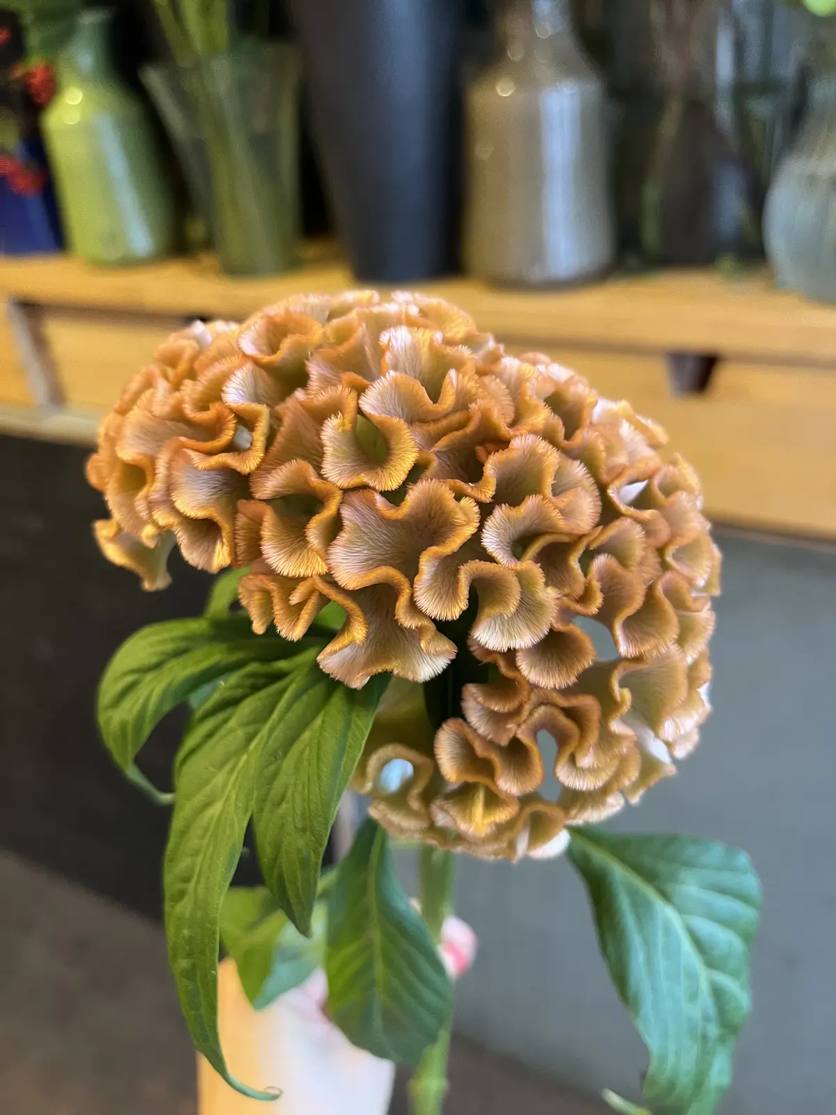 最後にトロピカル感あるブーケをの画像_7