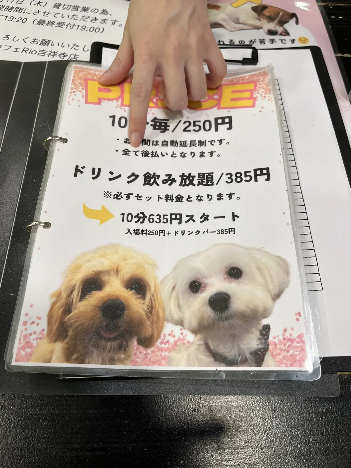 初めての犬カフェへの画像_3