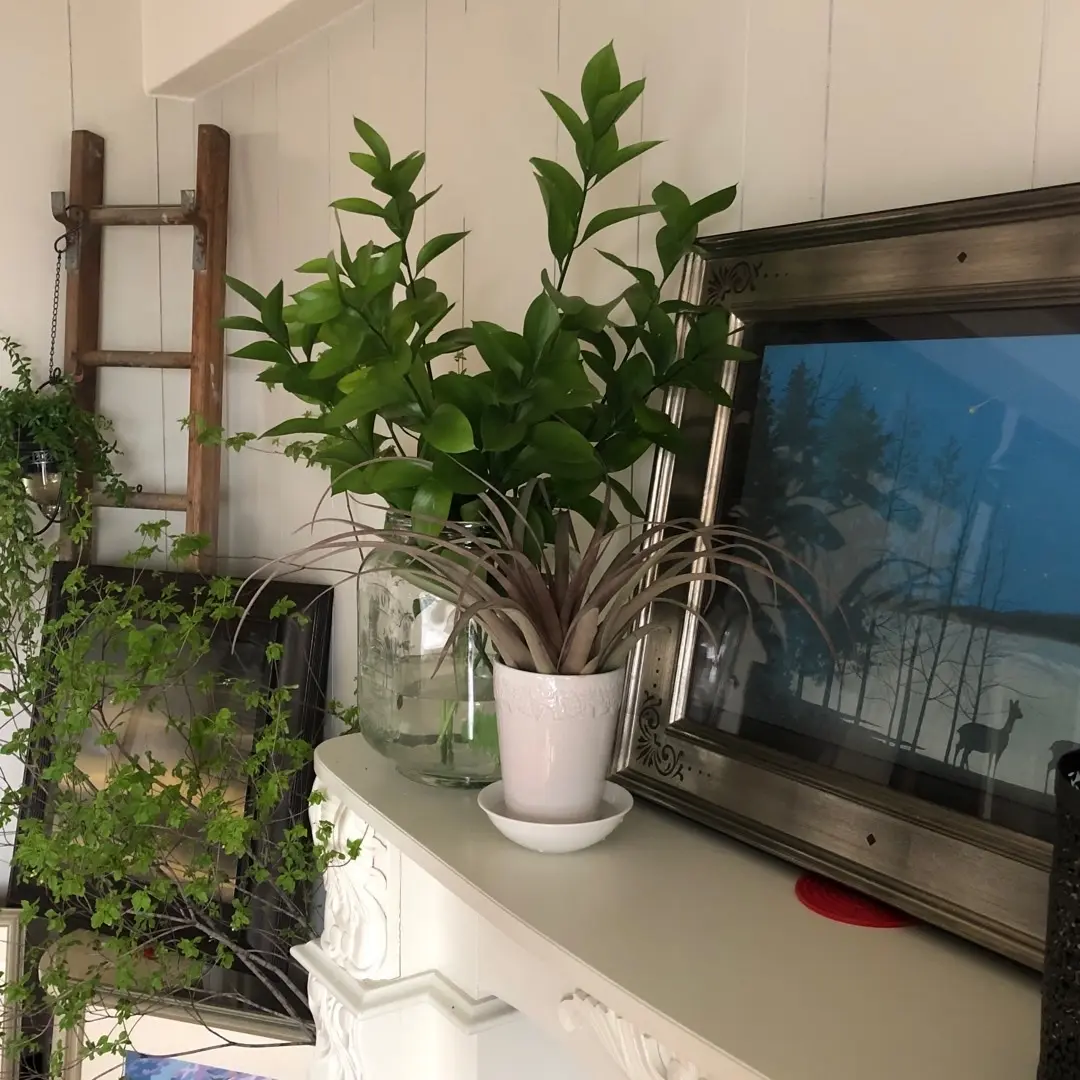 healthy lunchの画像_6