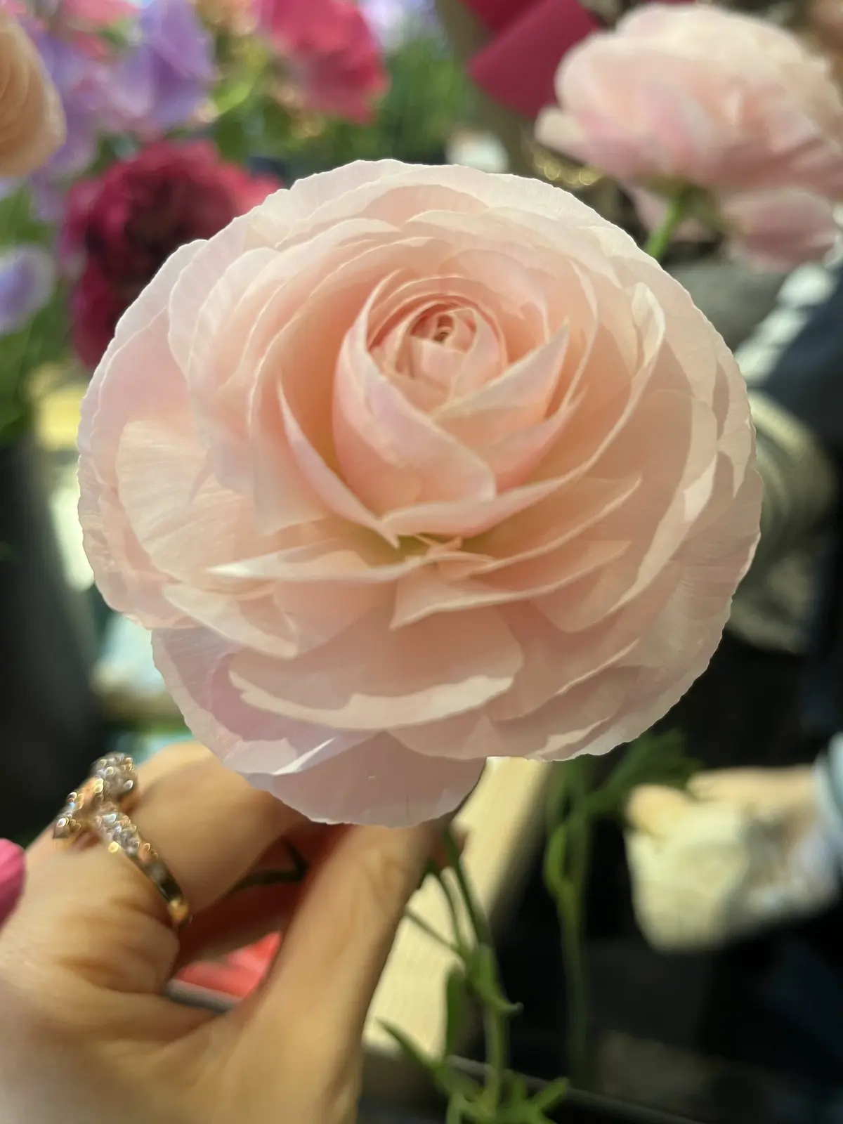 ラナンキュラスのブーケレッスン＆アフタヌの画像_6