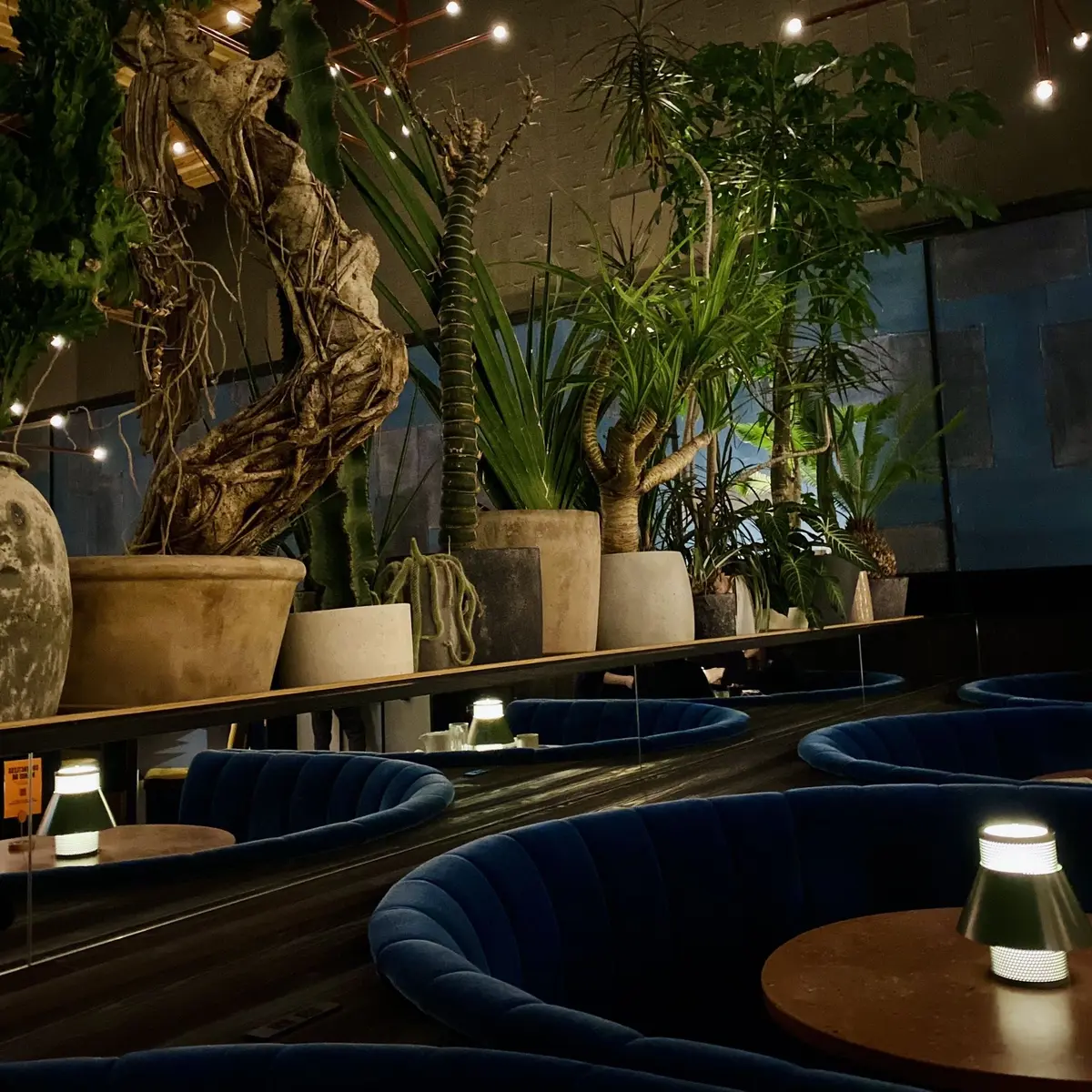 秋の景色を楽しむ♡京都の紅葉④の画像_24