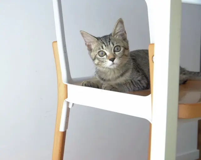 取材中もきちんと同席スタイルで