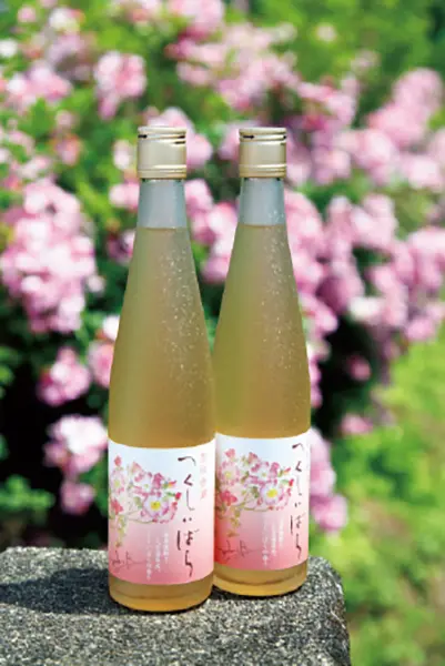 熊本の“ツクシイバラ”を楽しめる、至福のの画像_5