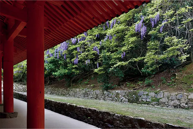 地面を削らず、自然の地形を生かして建てられた。