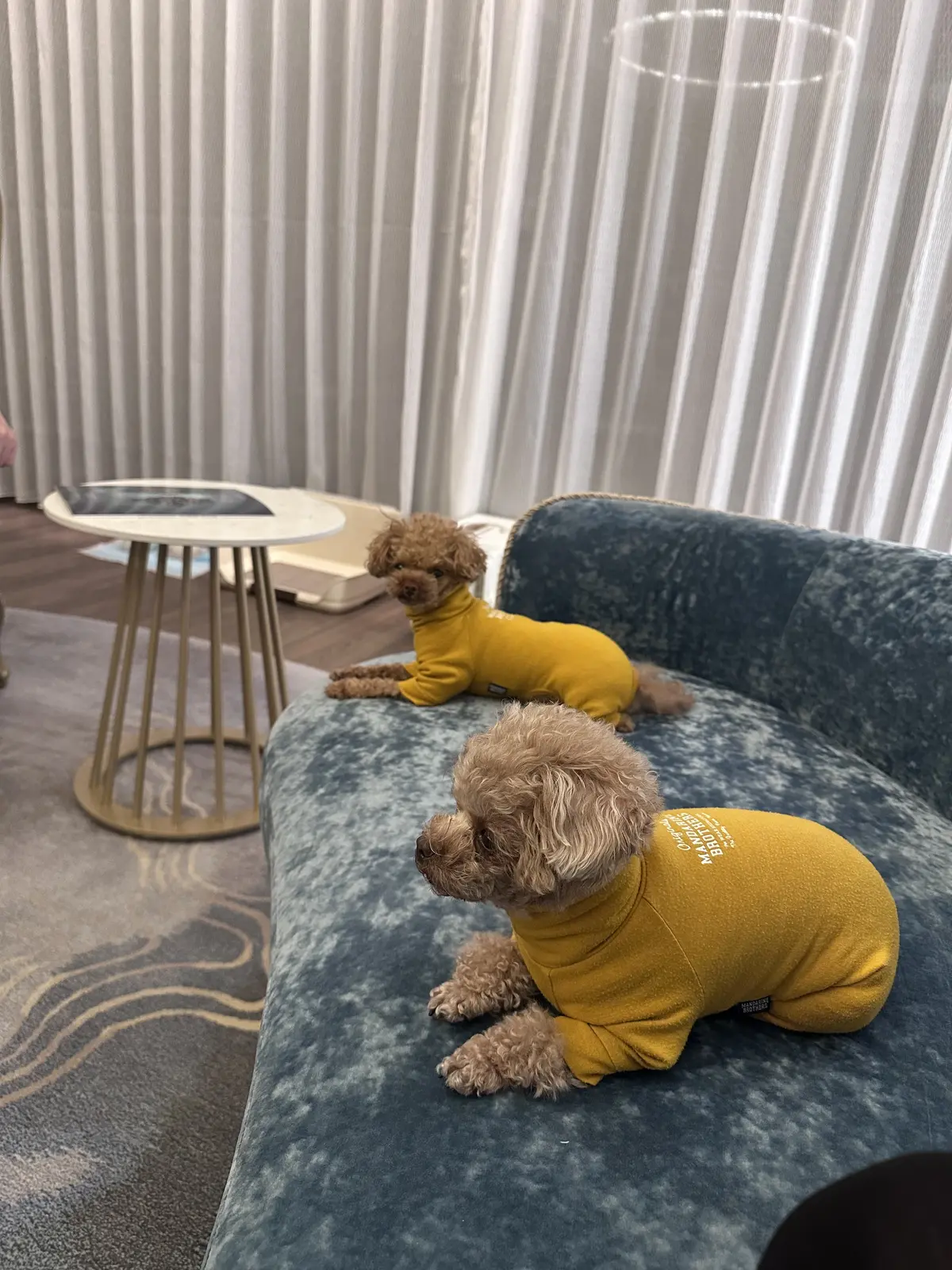 エクシブ　サンクチュアリ滋賀の画像_11