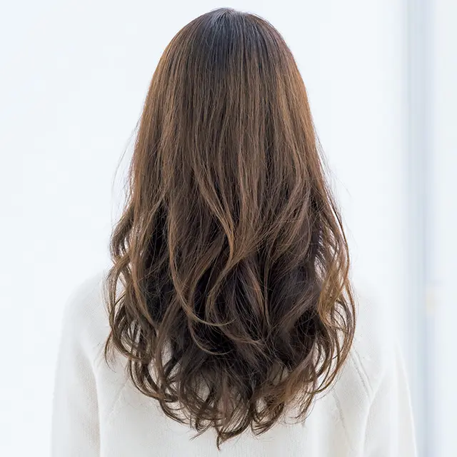 ロングヘア　バック