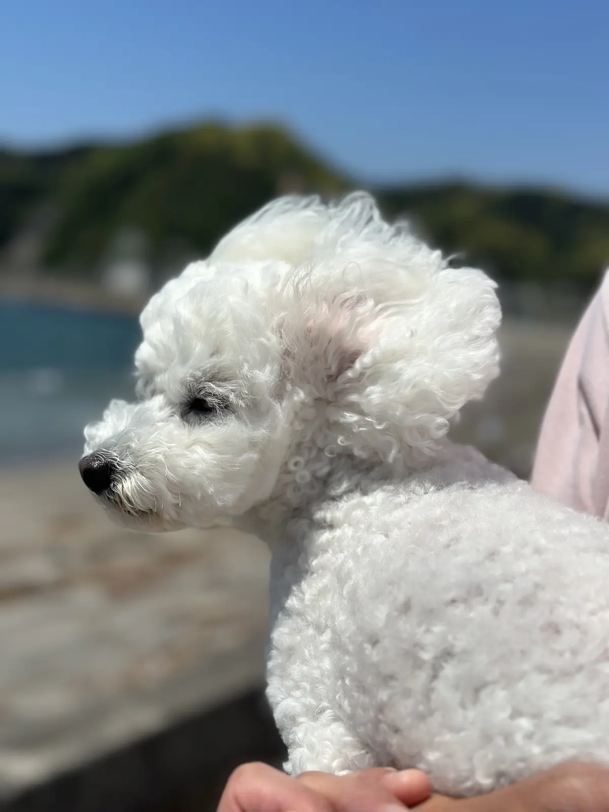 気軽におしゃれが楽しめるUNIQLOワンの画像_12