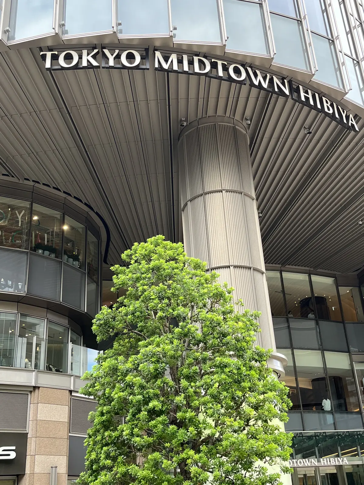 華組〝宜子さん〟が食べていたフルーツサンの画像_11