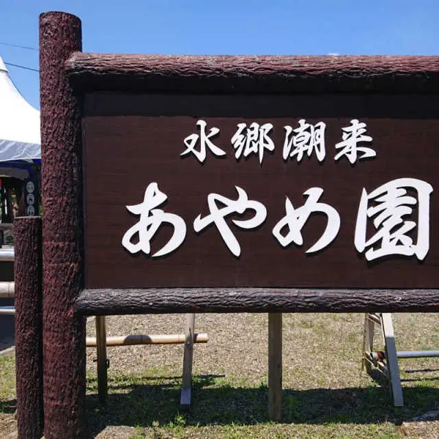 水郷潮来あやめ園