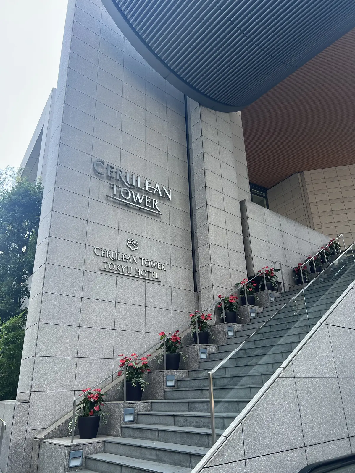 真夏のホテルランチには優しいピンクワンピの画像_2