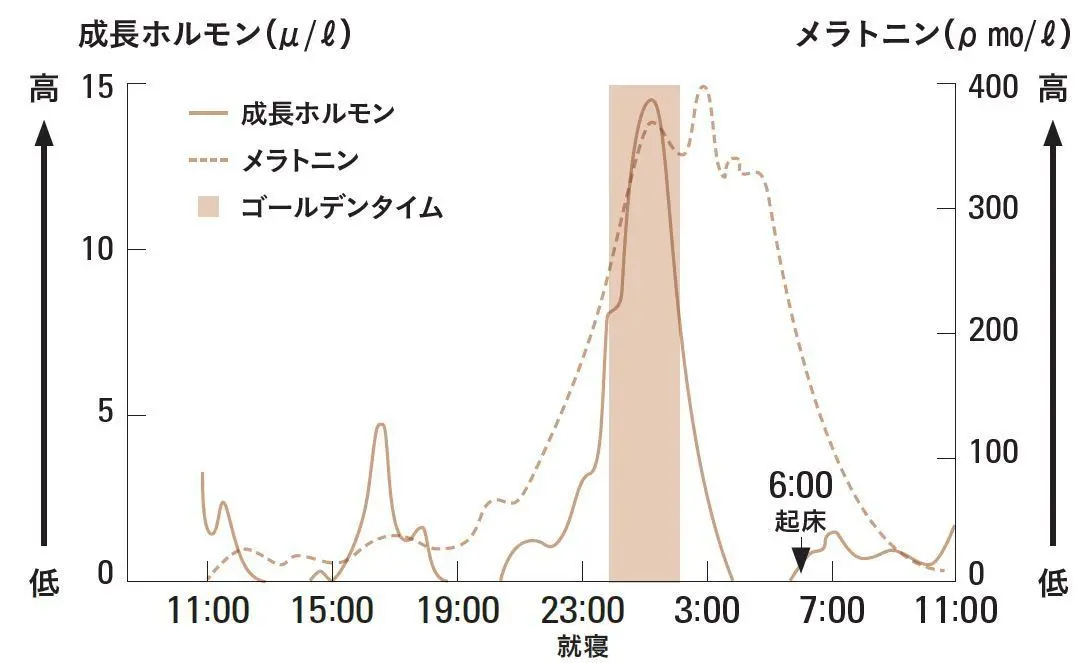 疲れを癒す成長ホルモンを逃さない生活リズムに！