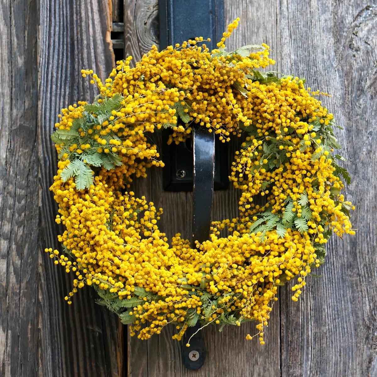 季節を感じる癒しのリース達の画像_1