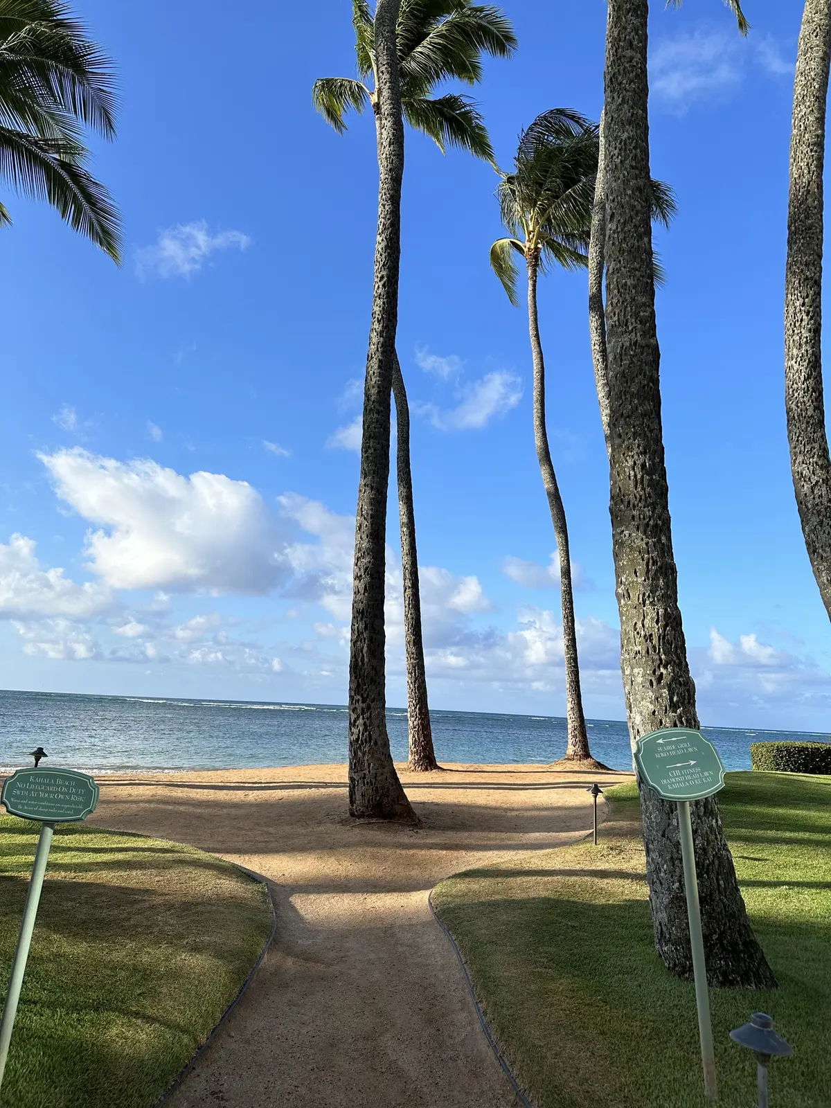 Hawaii day 2の画像_1