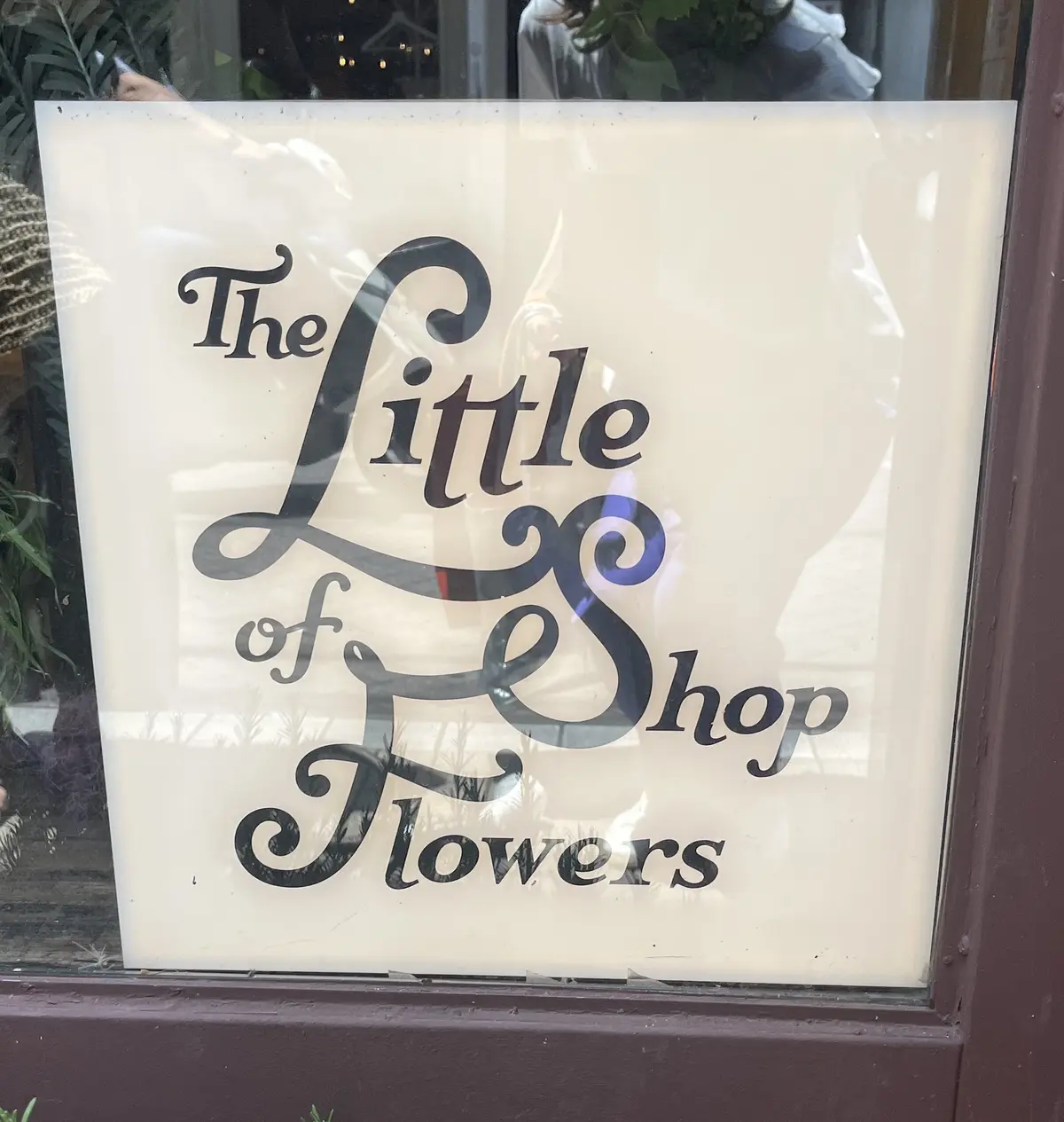 初夏のお花で『花屋で写真館♪』の画像_1