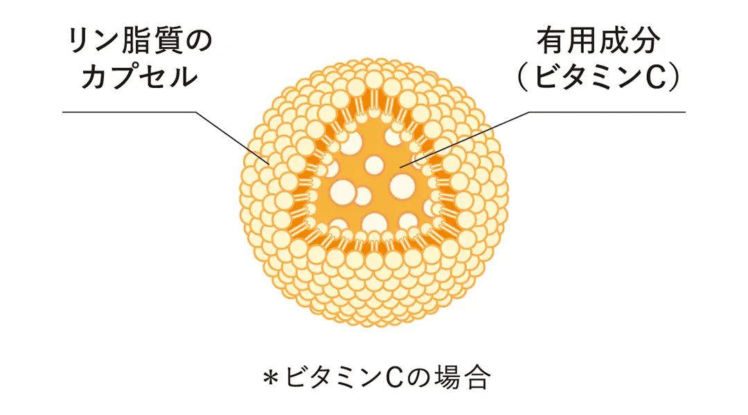 VC_リポソーム_図解イラスト