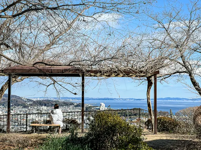 【さかぽんの冒険】菜の花を目指して☆@吾の画像_4