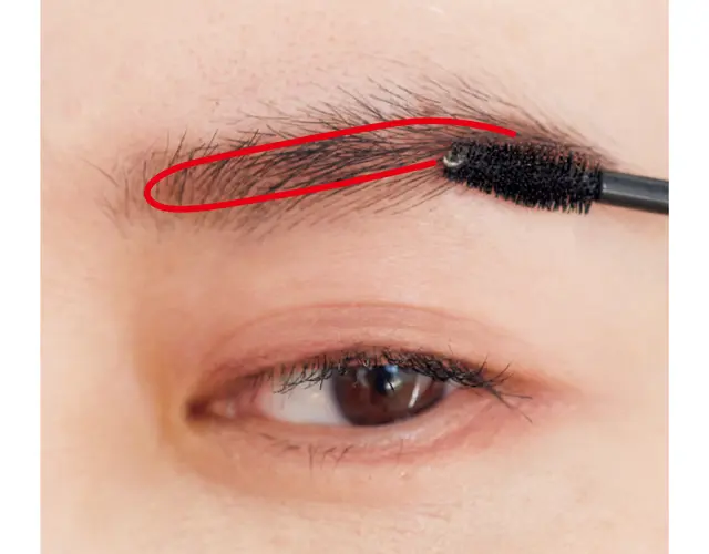 透明マスカラで毛を 中央に集める