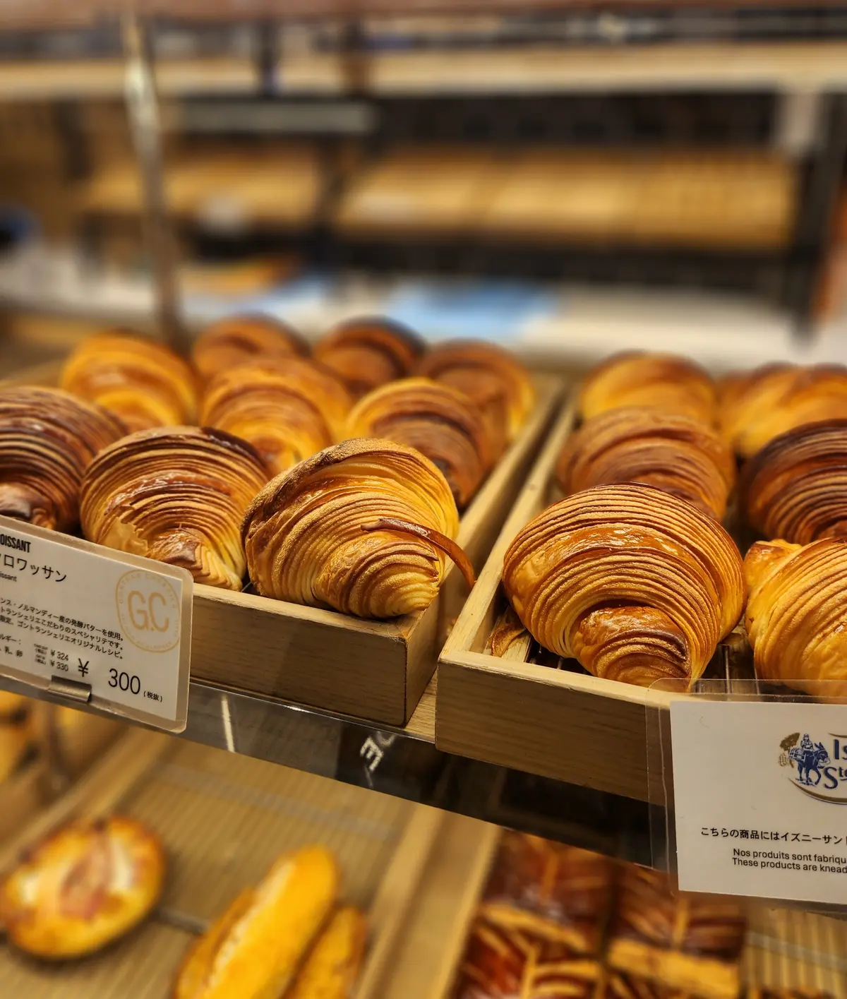 美味しいヘルシーきのこのお鍋でJマダム同の画像_17