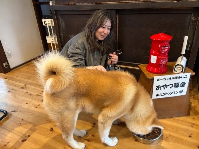 国内旅行　秋田　秋田旅行　角館　大曲　秋田犬　花火大会　武家屋敷　秋田土産　秋田銘菓　  比内地鶏　羽田空港　秋田空港　日本酒　地酒　地ビール  桜　花見 もろこし　日本三大花火　秋田駅