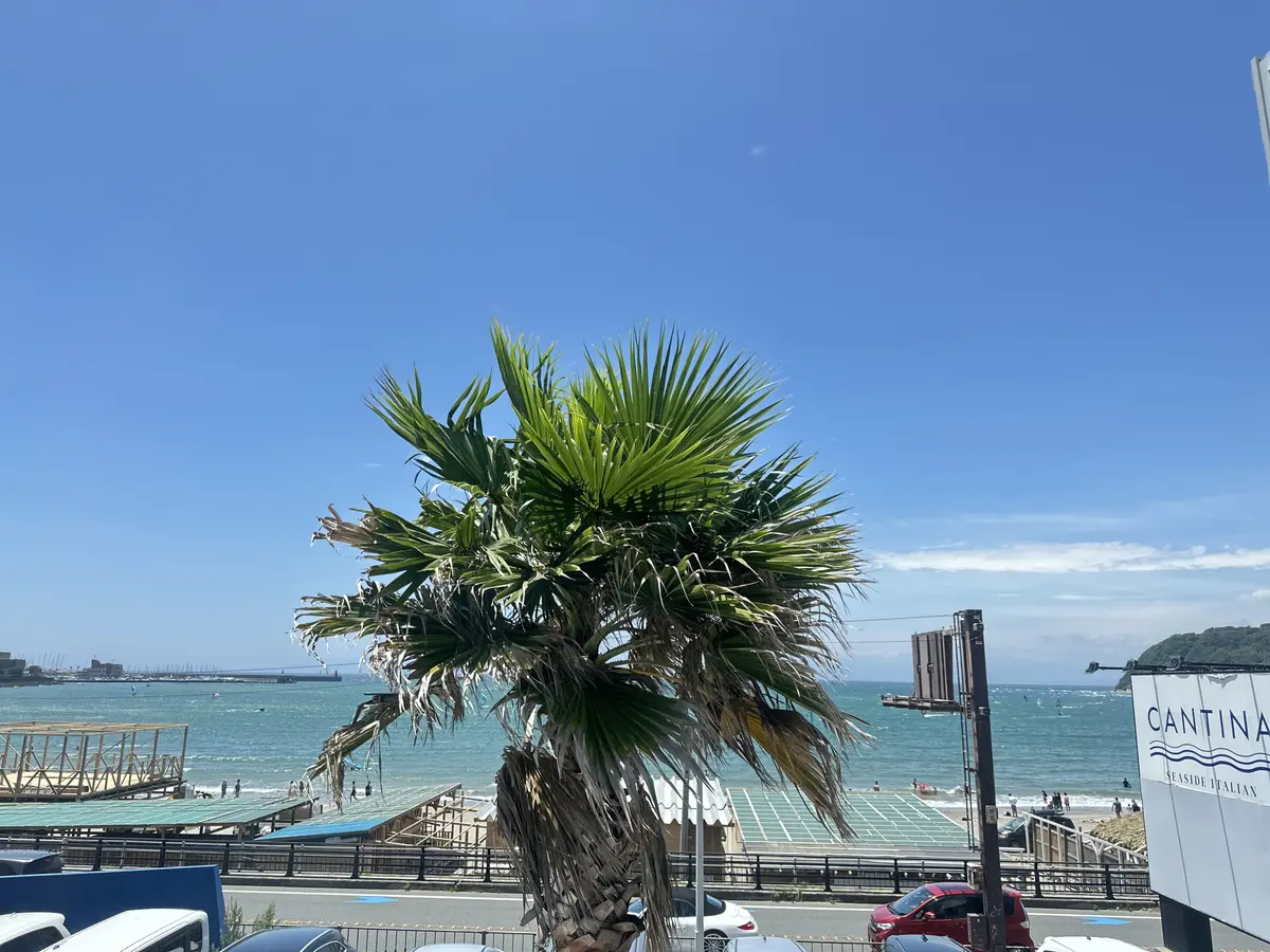 アンティークレーストップスで、海と森戸神の画像_1