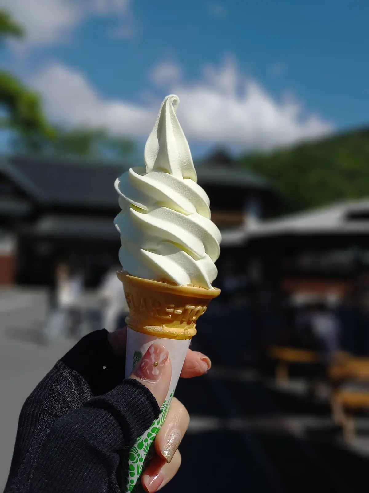 【大人の遠足】1泊2日️♡新緑の日光へ️の画像_6