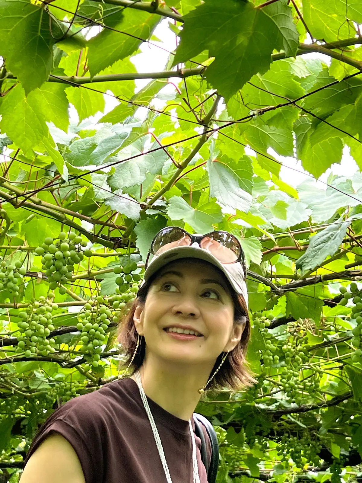 築200年の古民家カフェでピザランチと甲の画像_10