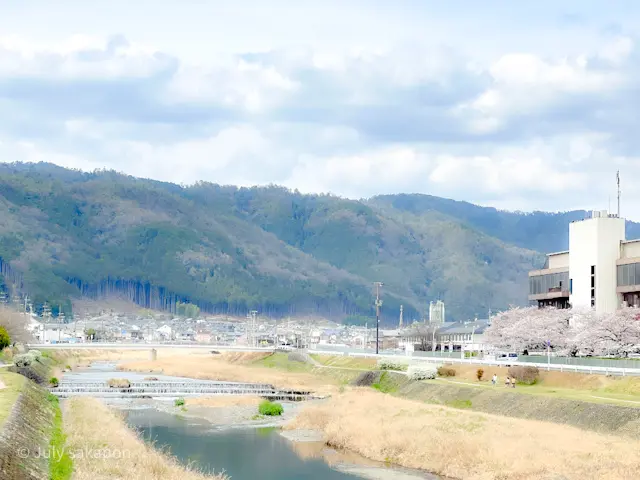 【さかぽんの冒険】前編☆もえぎ色の京都旅の画像_6