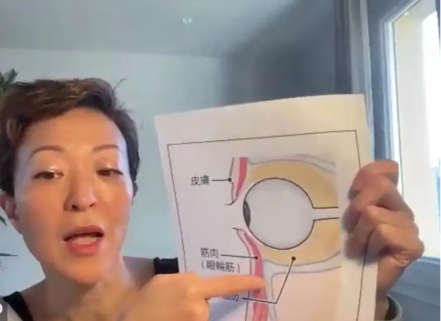 OurAge×Webエクラ パンダのように目のまわりを覆う眼輪筋の図