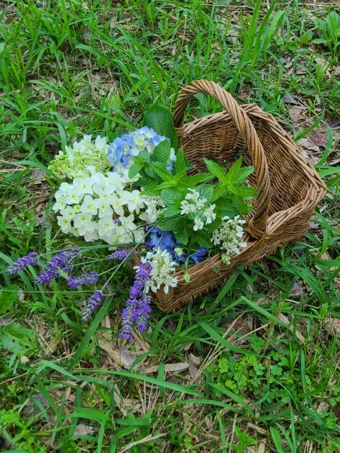 かご編みレッスンの画像_5