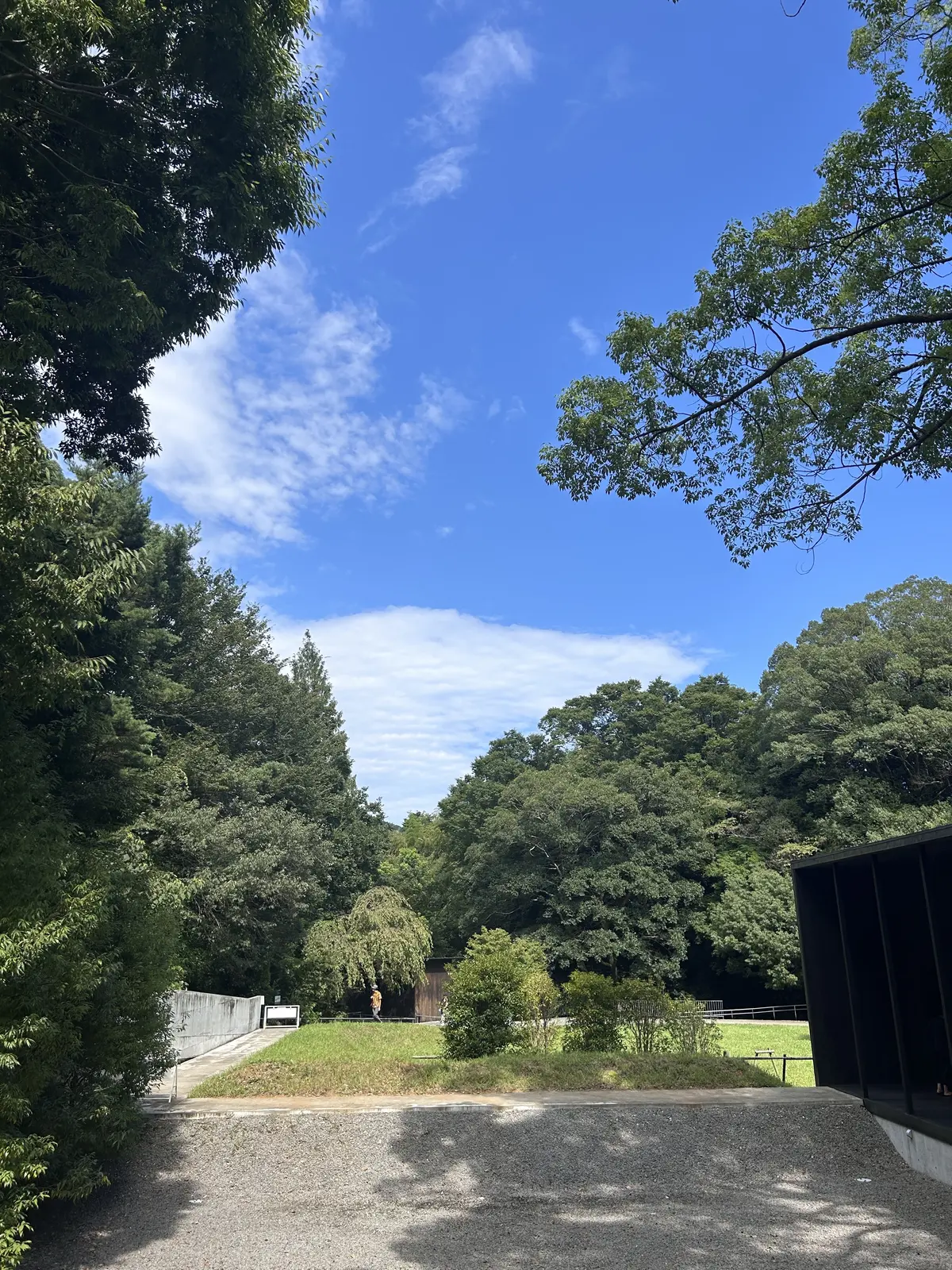 ダイニングから見える景色