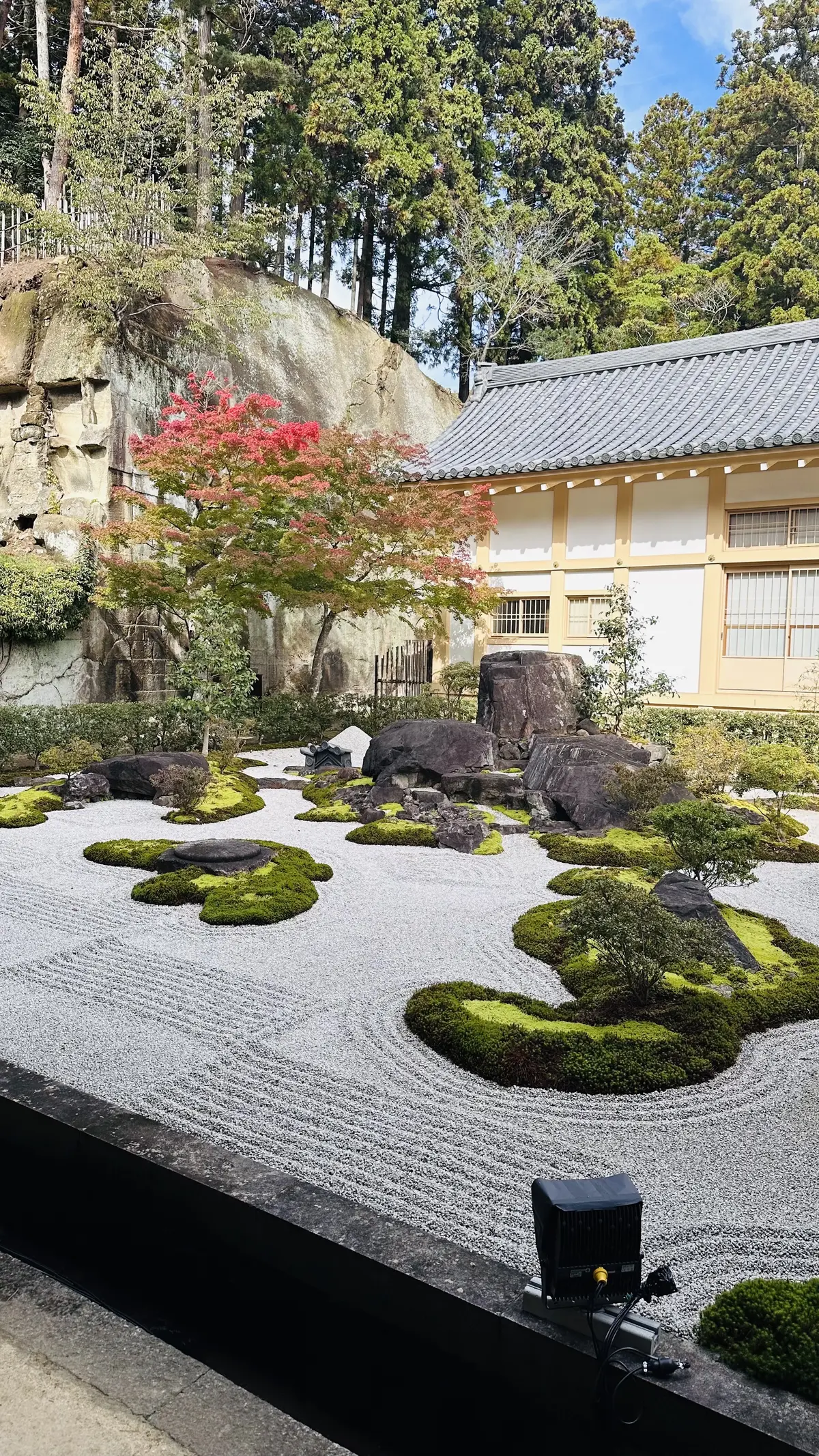【秋の仙台旅行】「宮島」と「瑞巌寺」で鷹の画像_13