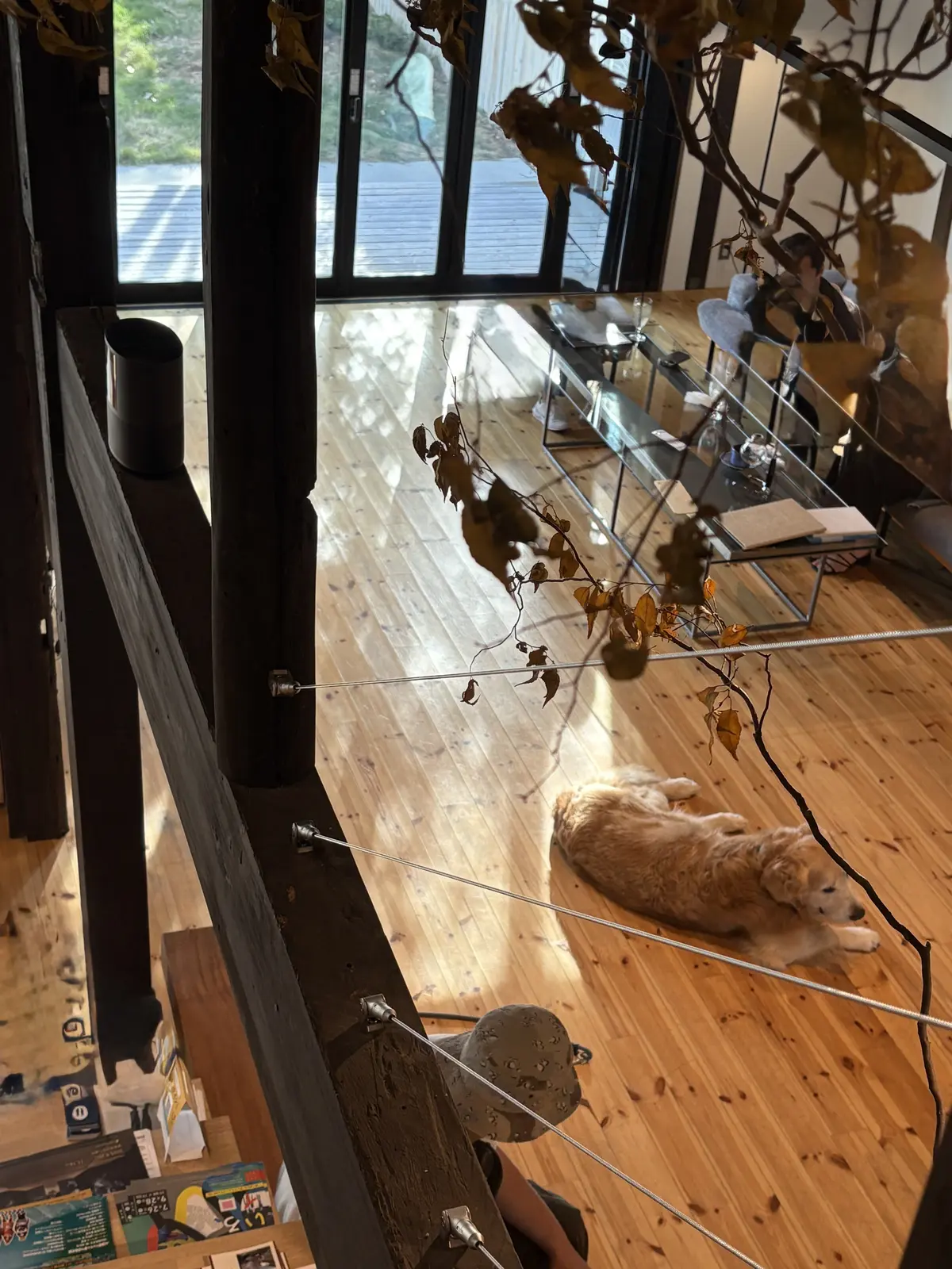 近江八幡さんぽと看板犬がいる「仁之助珈琲の画像_12