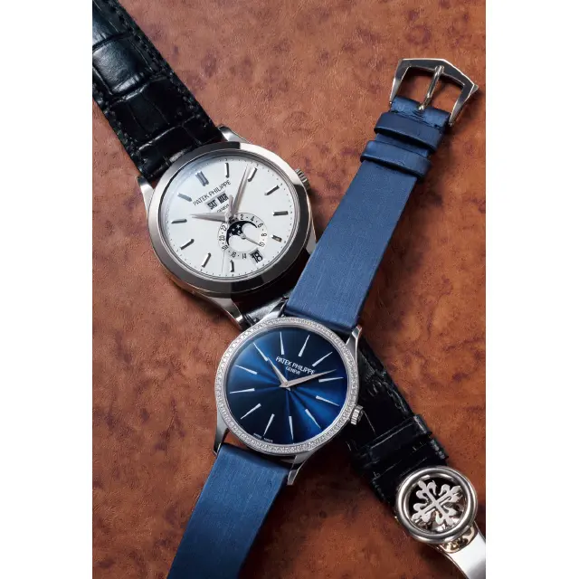 派テックフィリップの5396とカラトラバ4897