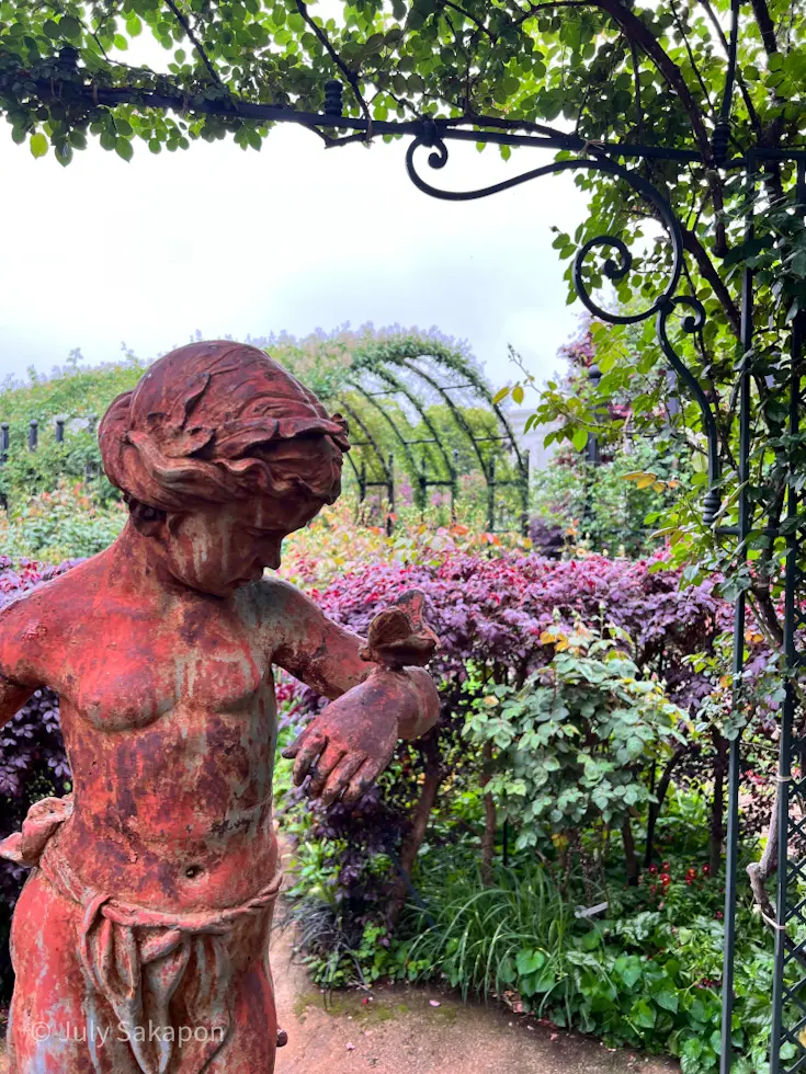 雨のバラ園へ行ってみた@横浜イングリッシの画像_2