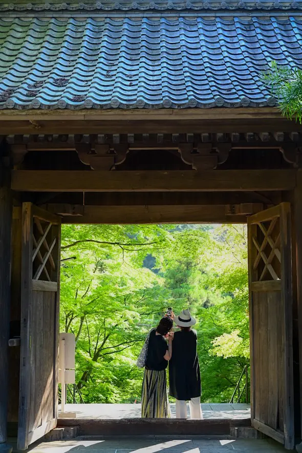 鎌倉円覚寺の風鈴棚に癒される夏🎐の画像_13