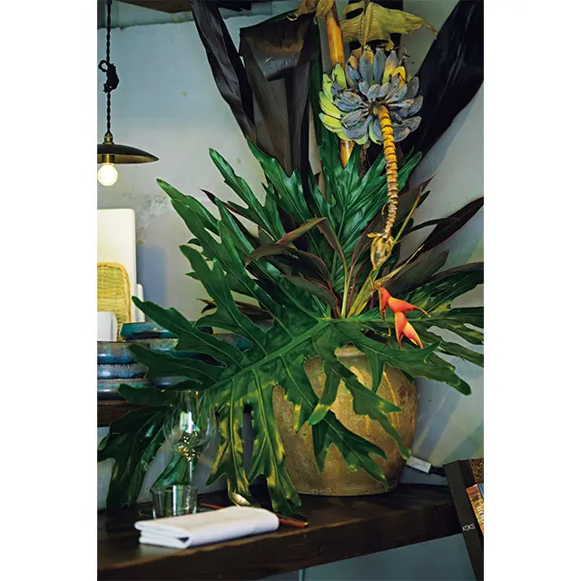 バナナの木の大胆な生けこみが、空間を彩る