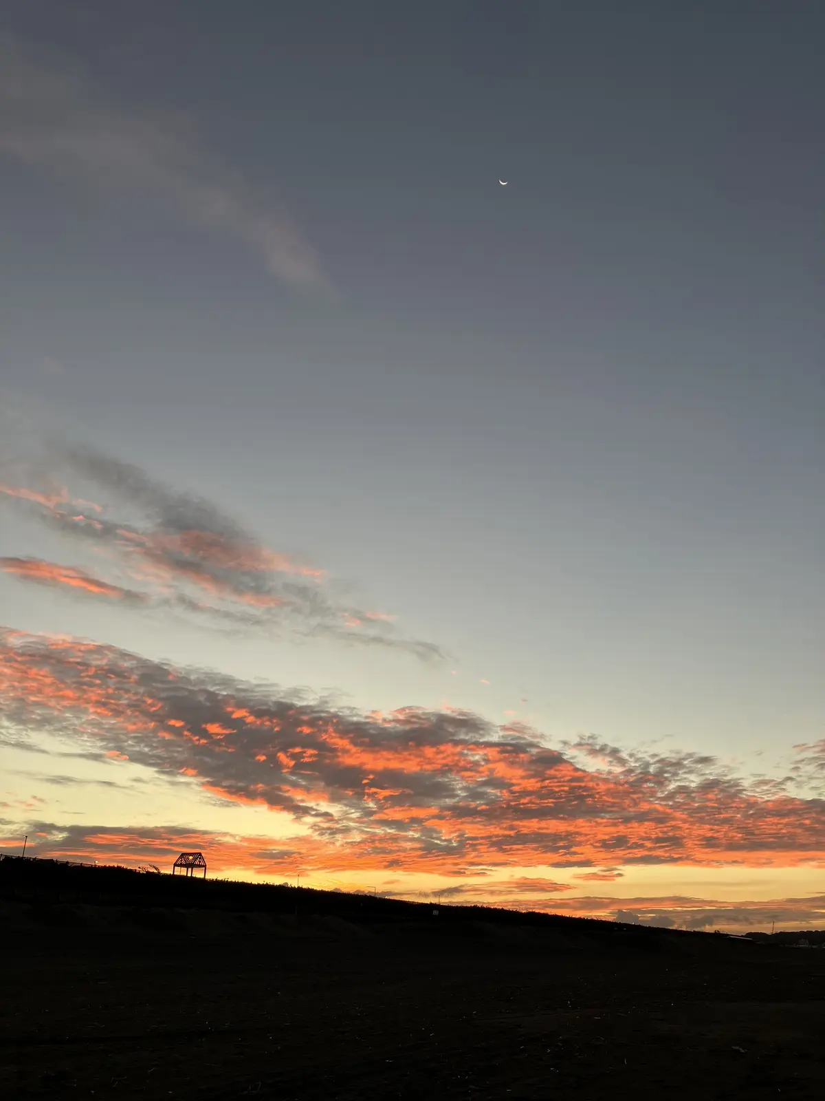 朝活スタートしました♪の画像_4