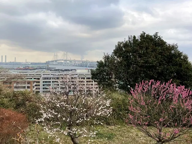 港の見える丘公園からのベイブリッジ