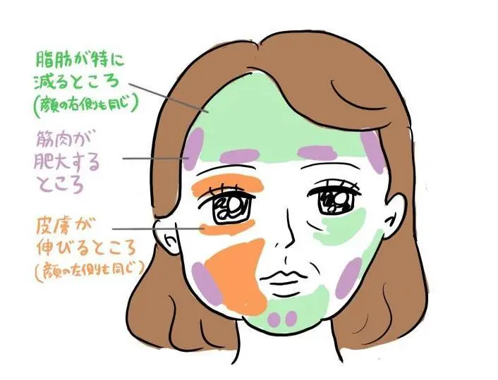 OurAge×Webエクラ かおイラスト