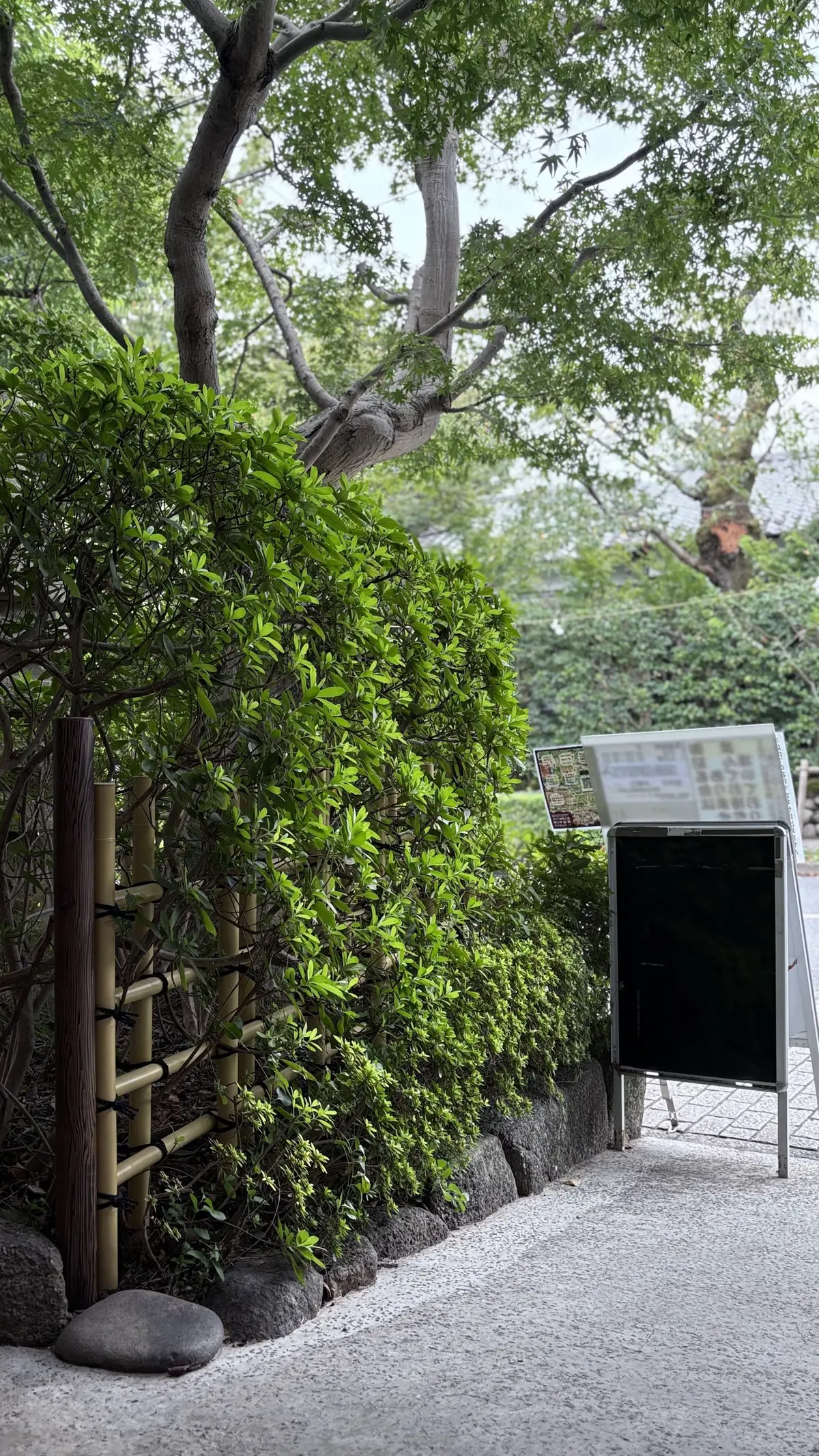 湧水さんの玄関　お店構え　そば屋　入口