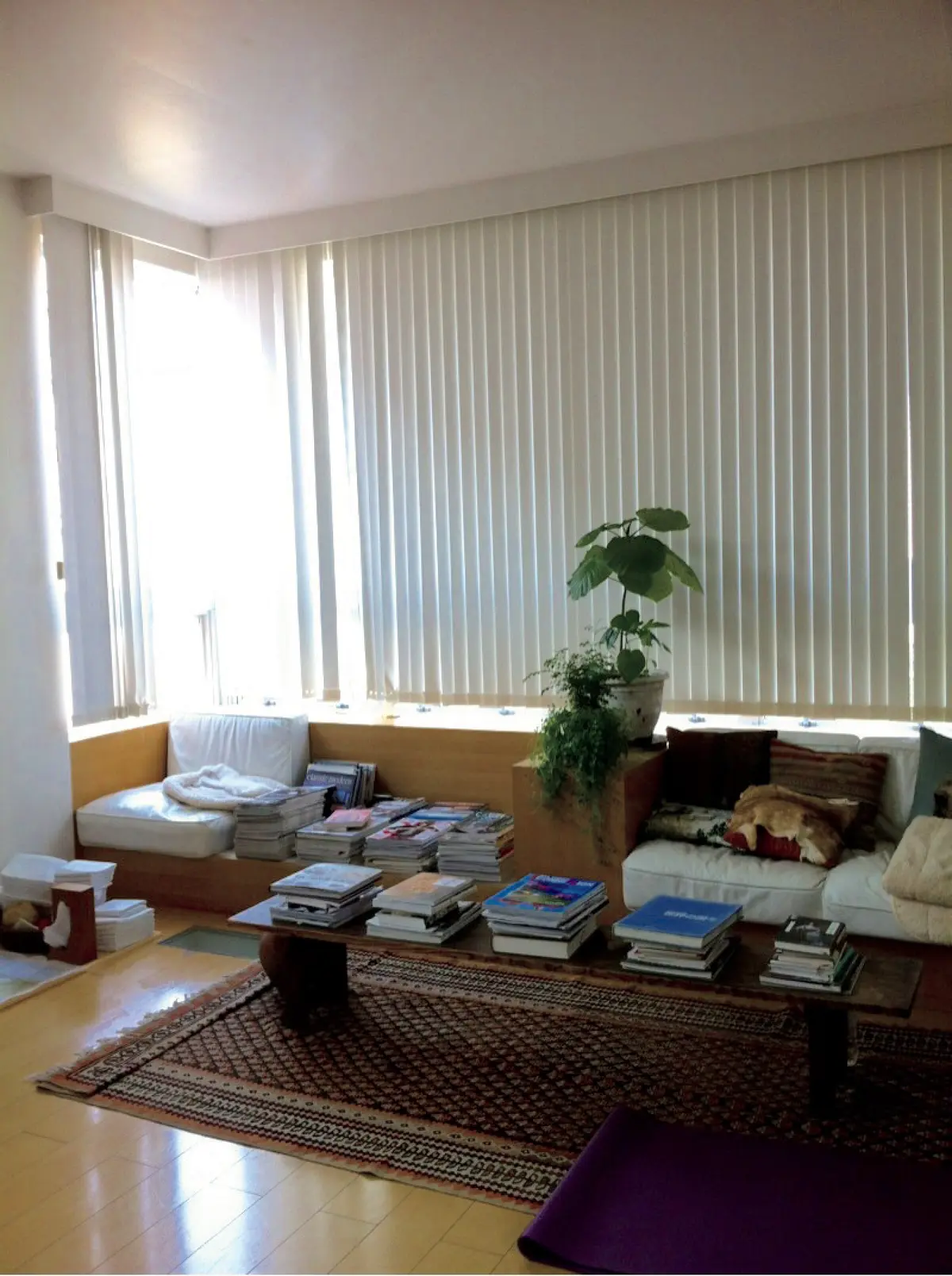 こんなに小さかったウンベラータ