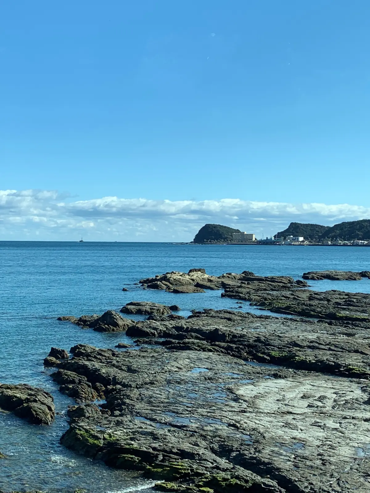 2022年　お正月旅　自然豊かな南紀勝浦の画像_1