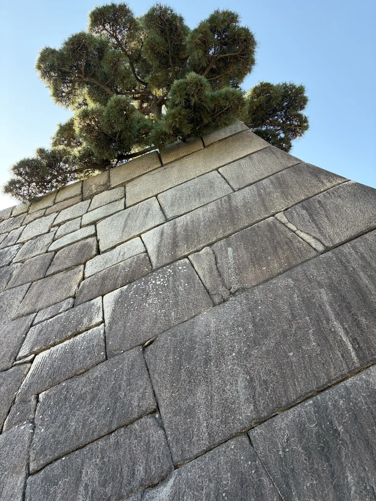 巨岩が詰まれた江戸城の石垣