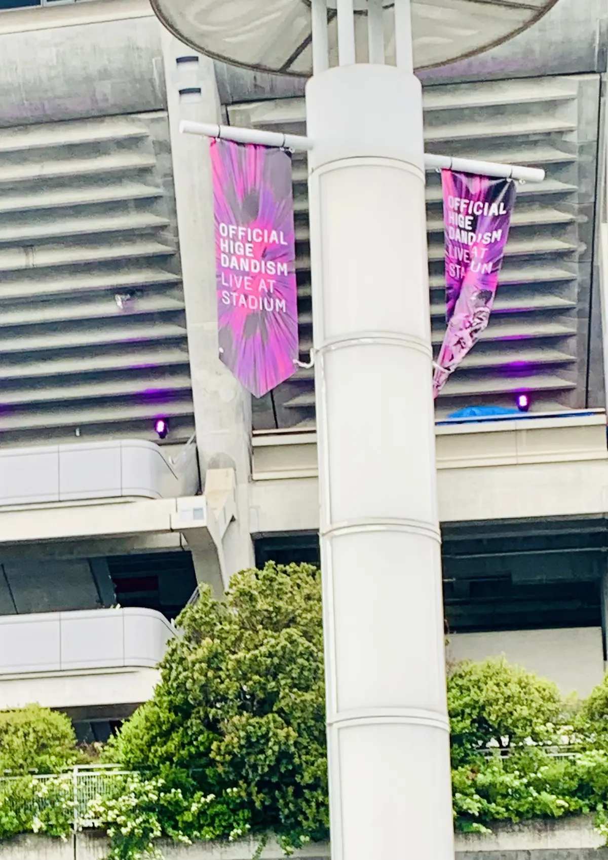 ヒゲダンLIVEでパワーチャージ💪の画像_1