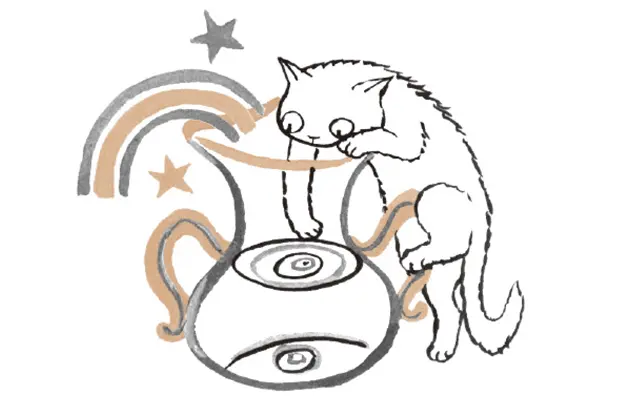 水瓶座《1／20〜2／18》