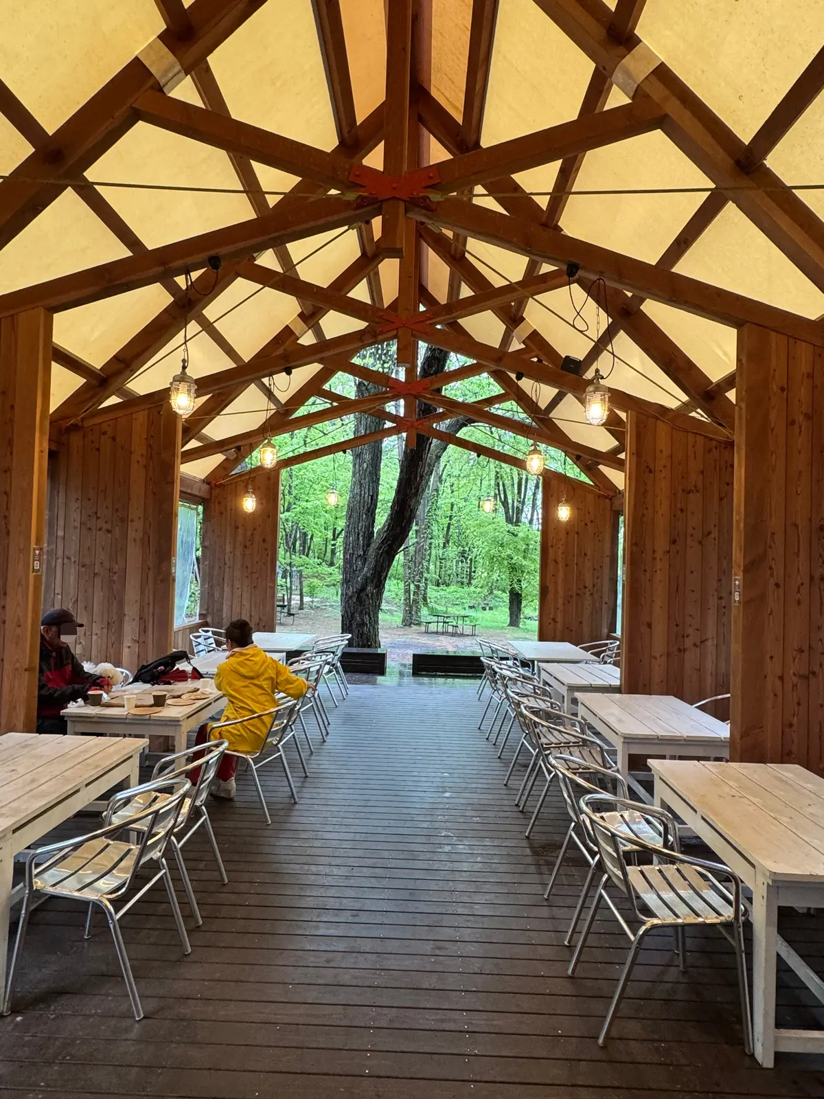 ルオムの森　ピザ