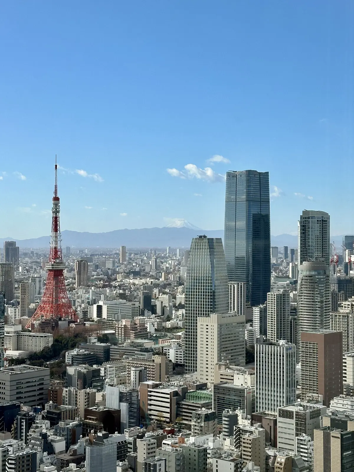 新年会ランチへは明るいNATURALカラの画像_17