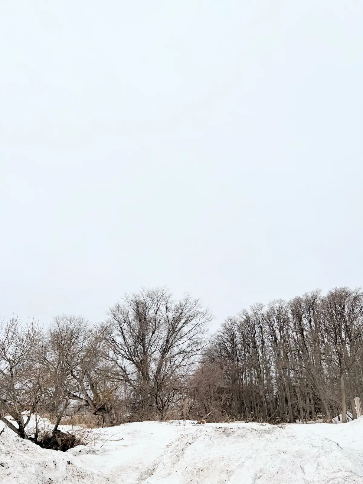 北海道母子旅3日目・陶芸ガラス細工体験の画像_8