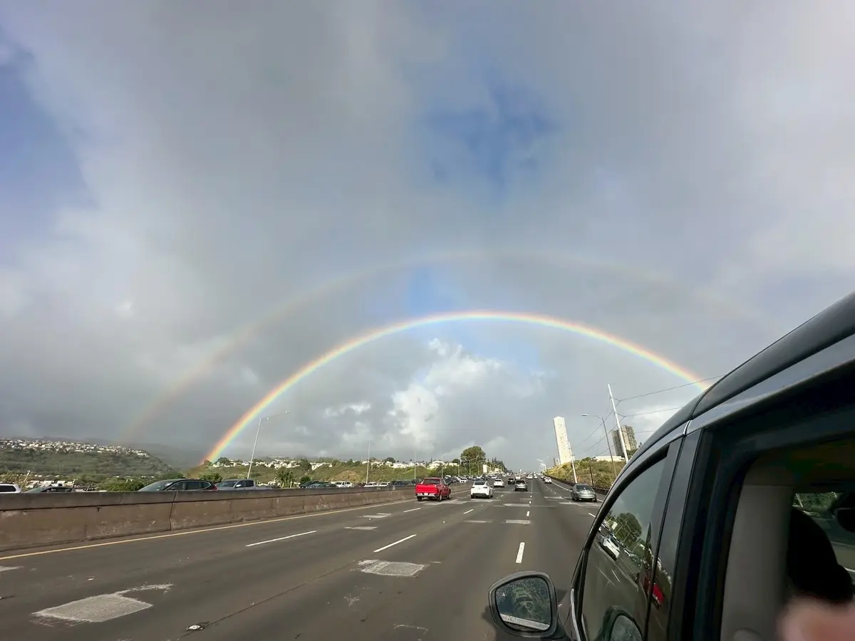 ハワイでのアクティビティの画像_15