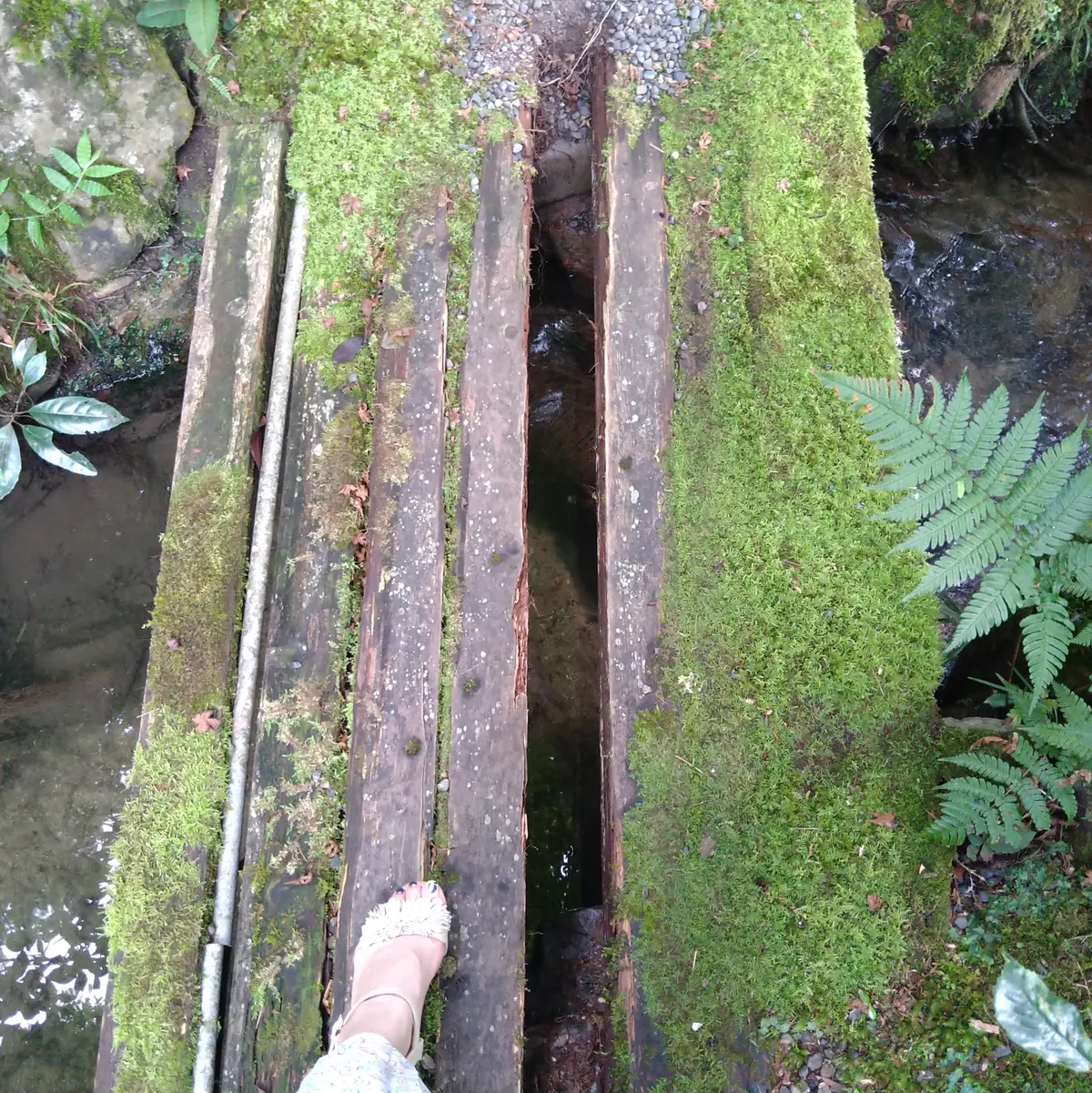 大人の夏TRIP　3泊目　〜moksa〜の画像_18